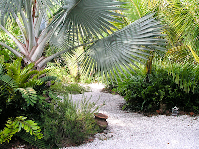 bismark palm West of Trail: For Sale by Owner, over 1/4 Acre