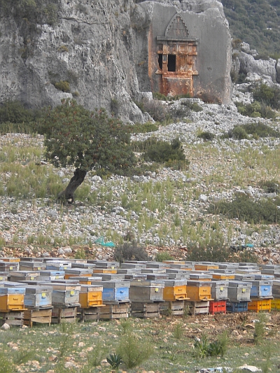 Lycian Coast Beehives